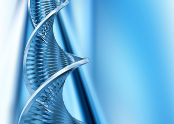 Una organización perfectamente integrada. Droguería del Sud y Temis Lostaló