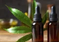 El mercado brasileño de cannabis medicinal se acerca a los US$ 180 millones y consolida a las farmacias como canal estratégico